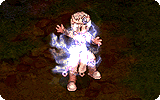 Lightning Loader Info.gif