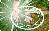 Strip Shield Info.gif