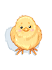 Chickhat.png