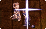 Holy Cross Info.gif