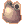 2351.gif