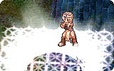 Land Protector Info.gif