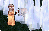 Ice Wall Info.gif