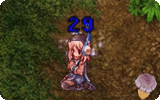 Ninja Mastery Info.gif