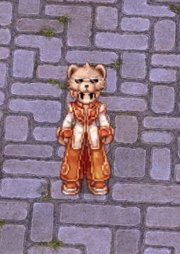 Sunglassesbearcap.gif