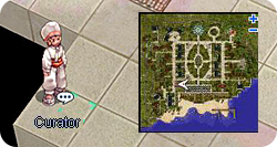 Curator-brasilis.png