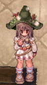Forestguide.png