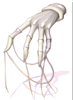 Evilspiritgloveimg.png