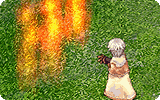 Fire Wall Info.gif
