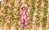 Gypsy's Kiss Info.gif