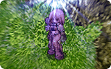 Energy Coat Info.gif