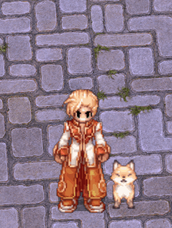 Fox.gif