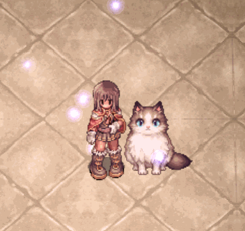 Ragdollcat.gif