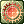 Blessing of the Sun.png