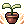 Plant Cultivation.png