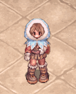 Snowflakehoodie.gif
