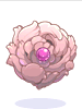 Rosashield.png