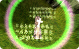 Suffragium Info.gif