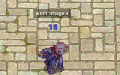 Mirror Image Info.gif