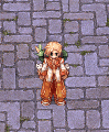 Adventurecatbag.gif