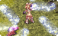 Thumbnail for version as of 15:09, 17 October 2022