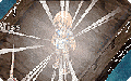Arrow Repel Info.gif