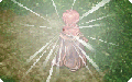 Thumbnail for version as of 17:57, 20 February 2023