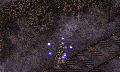 Platinum Altar Info.gif