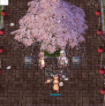 Alfheimmarket1.png