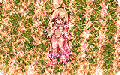Thumbnail for version as of 19:01, 27 October 2022