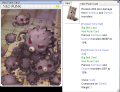 Thumbnail for version as of 08:36, 5 February 2024