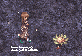 Thumbnail for version as of 23:34, 21 May 2024