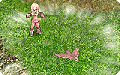 Thumbnail for version as of 13:12, 26 October 2022