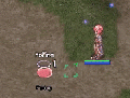Thumbnail for version as of 15:21, 1 May 2024